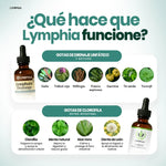 Gotas Lymphia® | Pack Reset (Linfático+Clorofila)