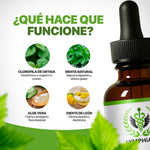 Gotas de Clorofila | Reductor de inflamación