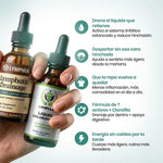 Gotas Lymphia® | Pack Reset (Linfático+Clorofila)